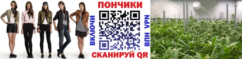 где купить наркоту  Саратов  Бошки марихуана конопля 